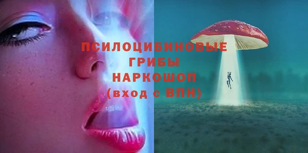 apvp Аркадак