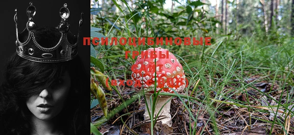 прущая мука Лиски