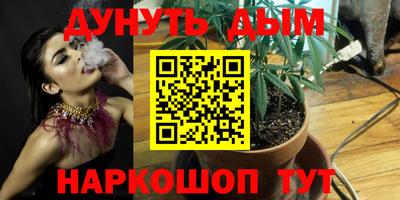 скорость Заводоуковск