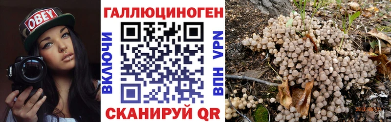 Галлюциногенные грибы мицелий  наркота  Пермь 